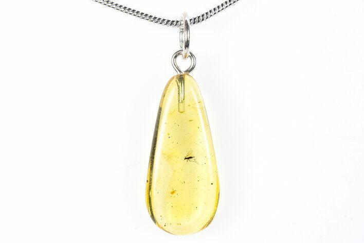 Polished Baltic Amber Pendant (Necklace) - Contains Fly! #288841